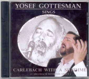 Shlomo Carlebach Download