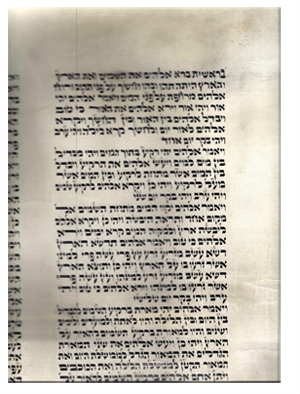 Ashkenazi Sefer Torah